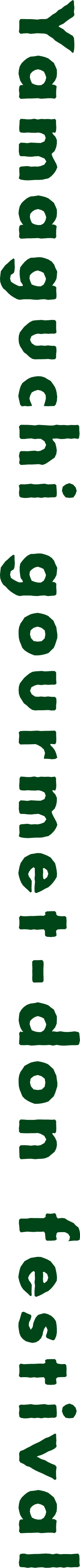 Yamaguchi gourmet-don festival